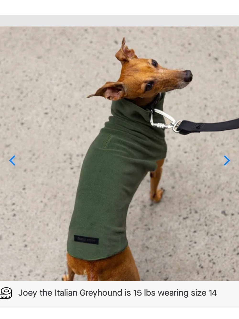 Canada Pooch Stretch Fleece - Forest Green - Size 14